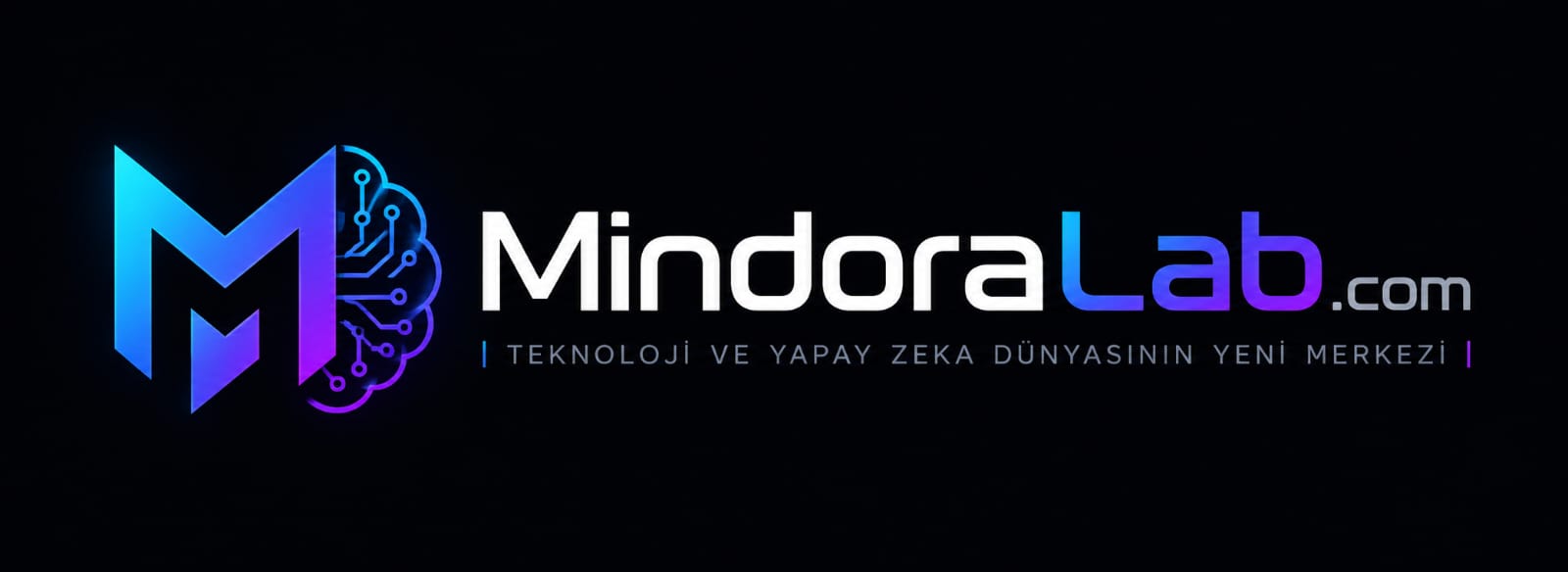 MindoraLab.com