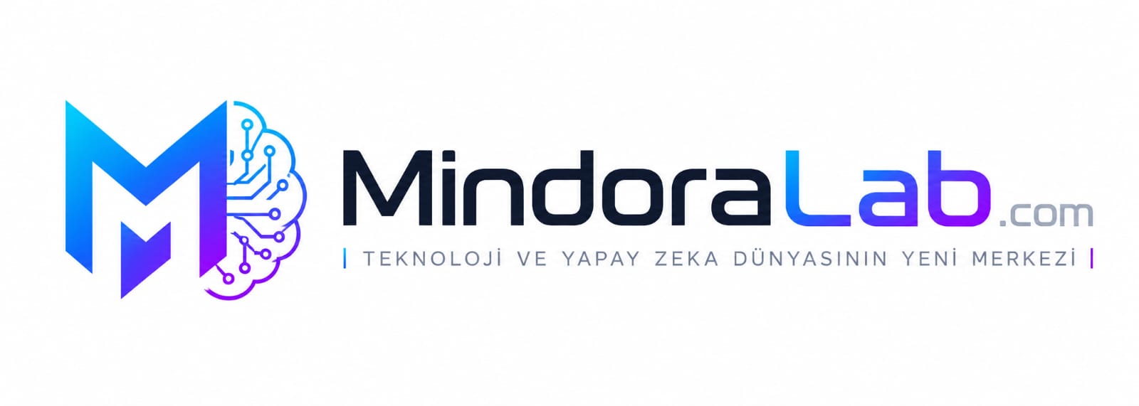 MindoraLab.com